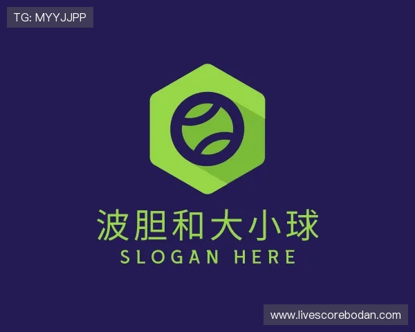 认识足球波胆是什么意思